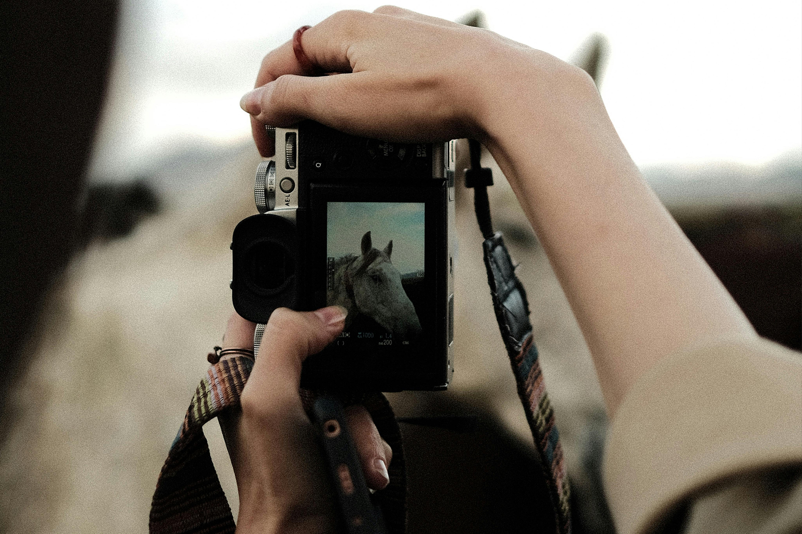 Professional Photoshoot For Your Equestrian Brand