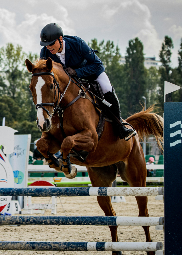 U.S. Equestrian Economy: A Powerhouse of Passion and Productivity