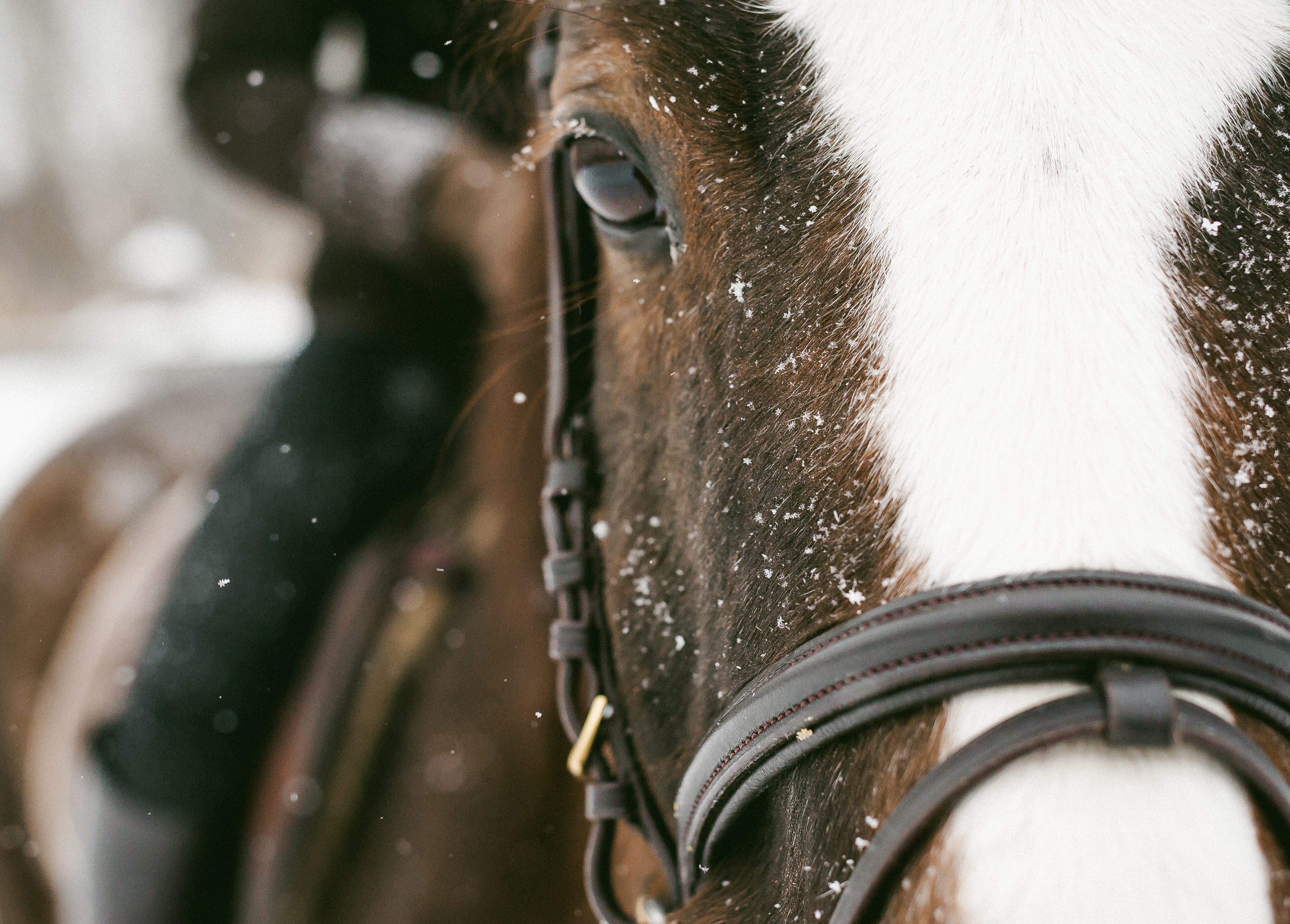 Motivating Yourself To Ride Through The Winter