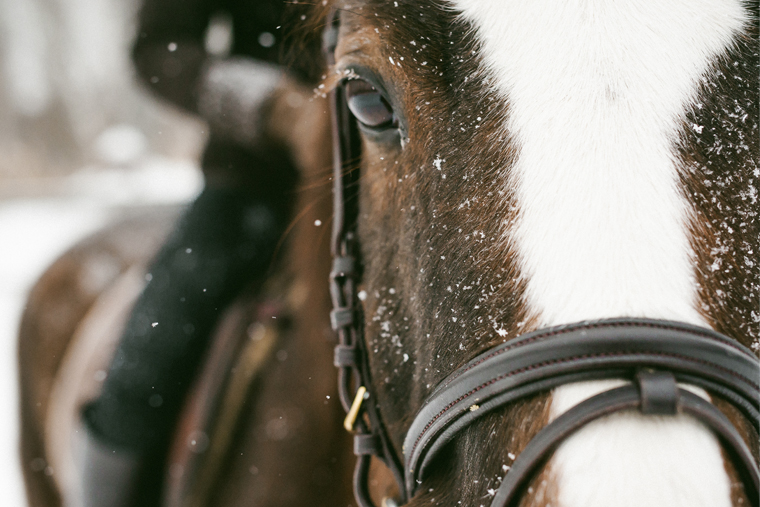 Motivating Yourself To Ride Through Winter