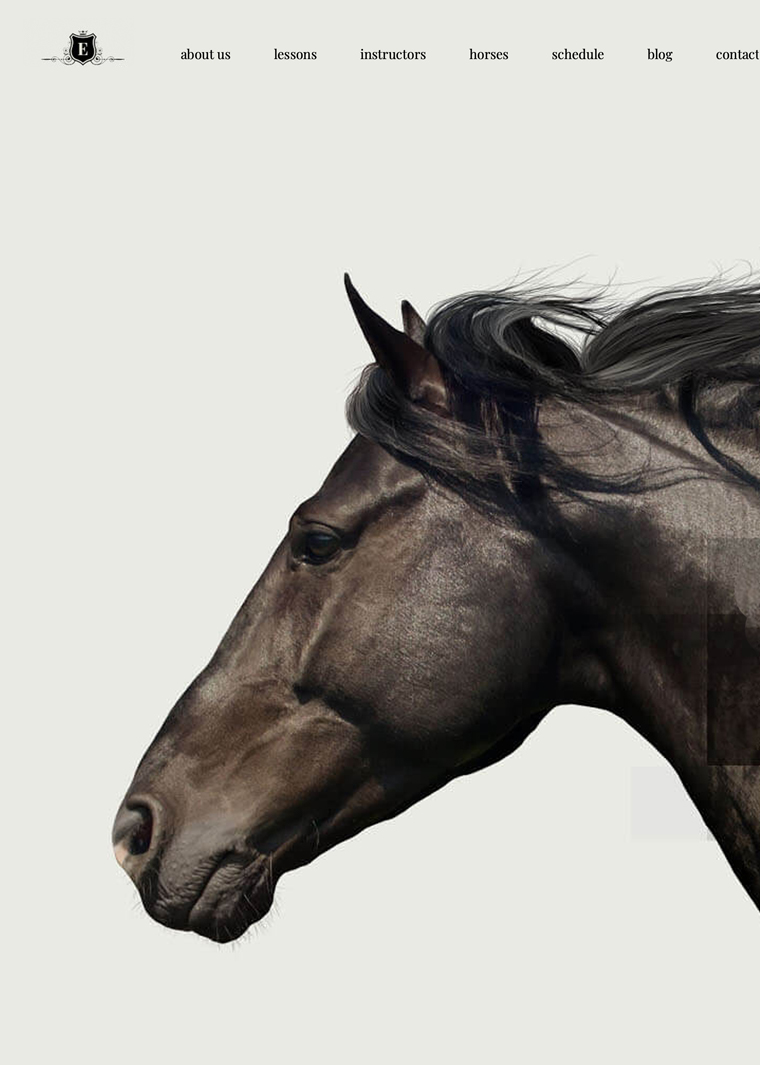 Equestrian Web Design