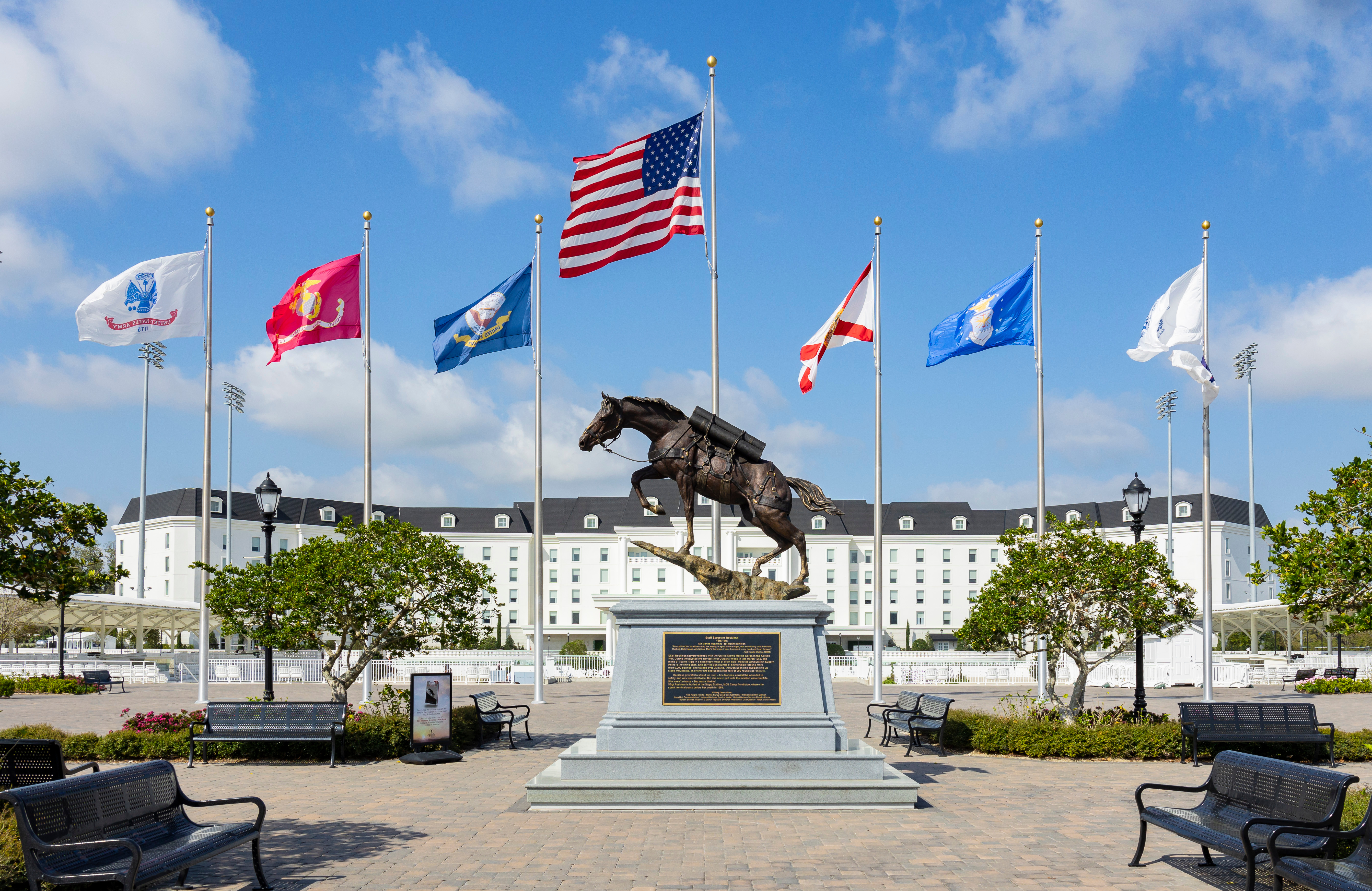 Equestrian Brands Horse Show Marketing - Article Photo