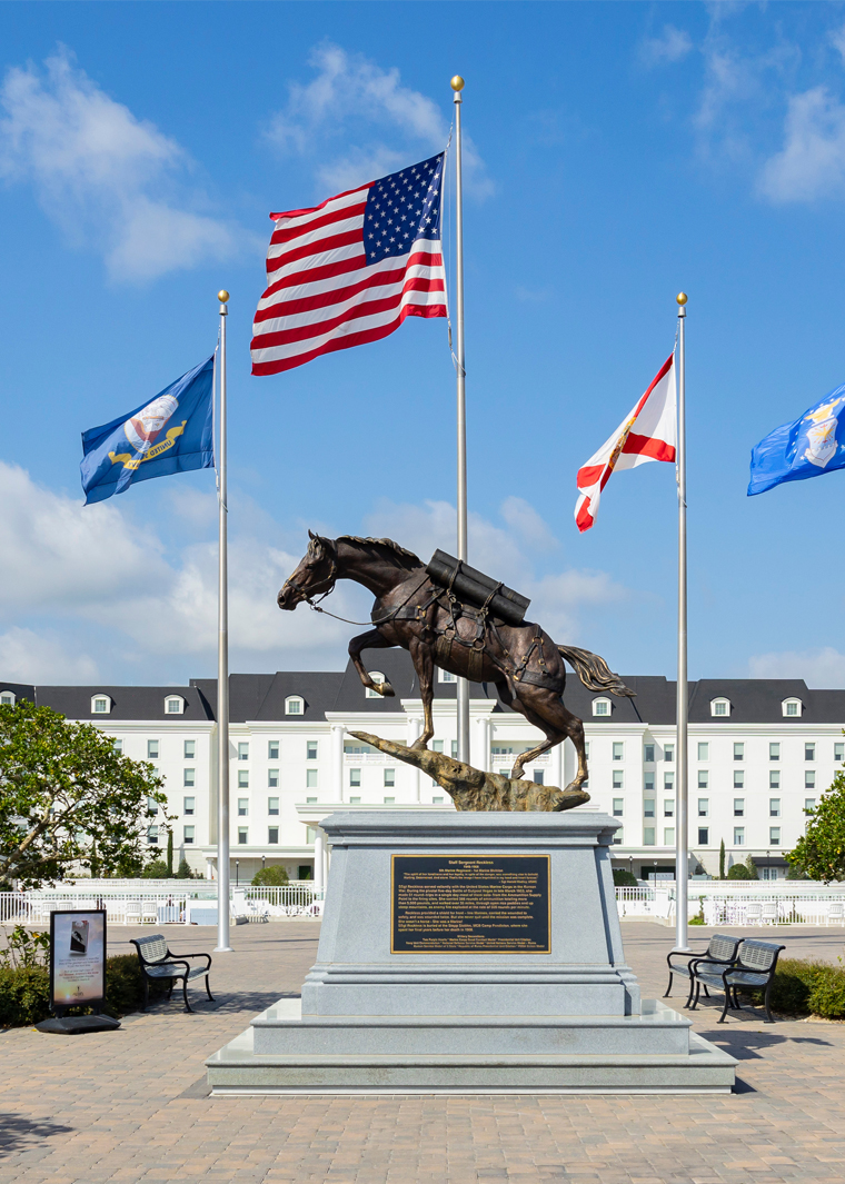 Equestrian Horse Show Marketing
