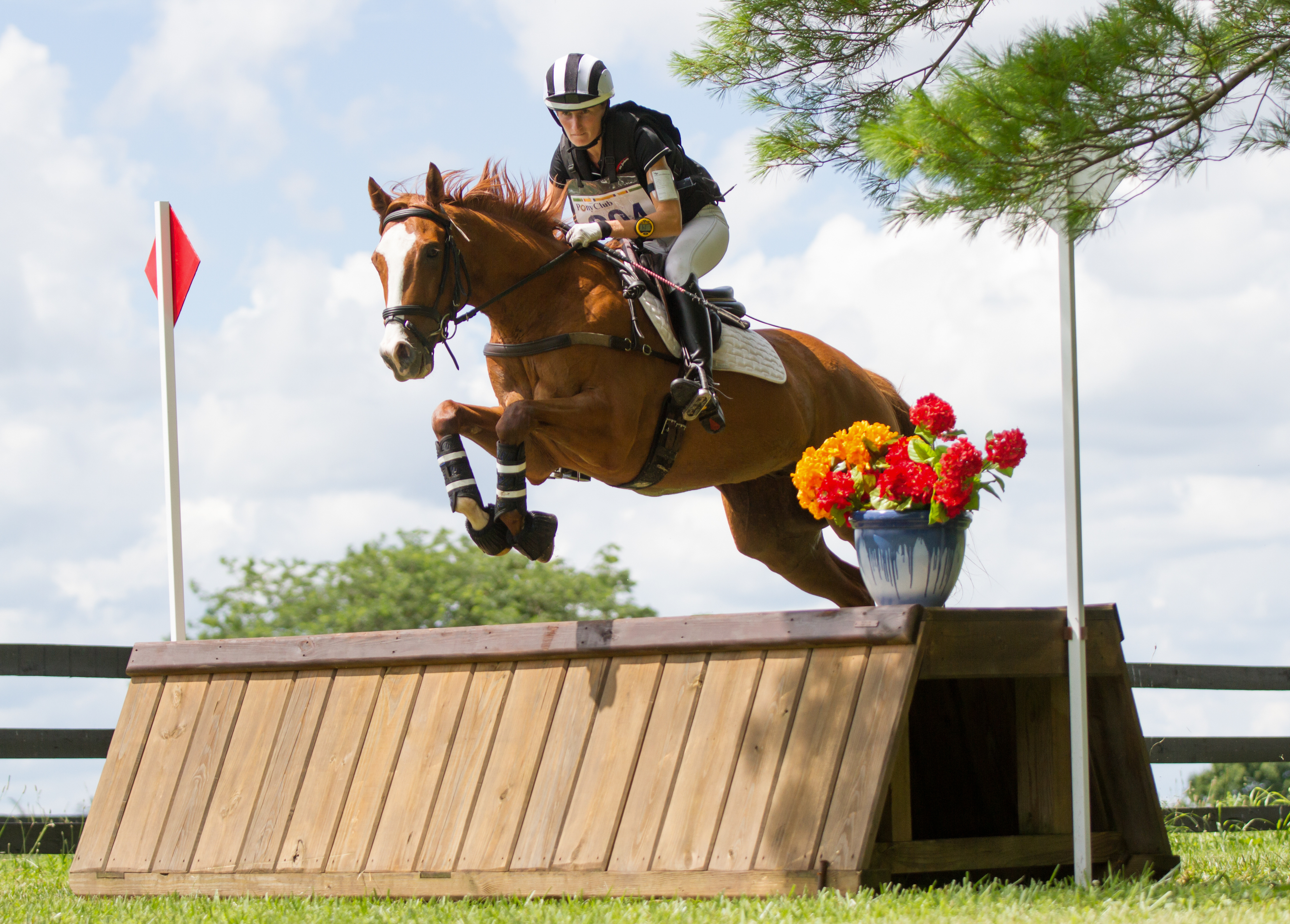 Equestrian Marketing Trends