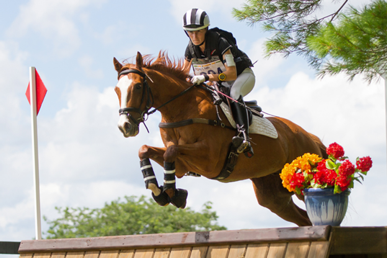 Equestrian Marketing Trends