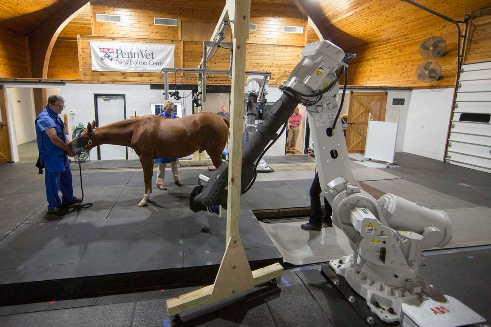 Standing Equine CT Scan