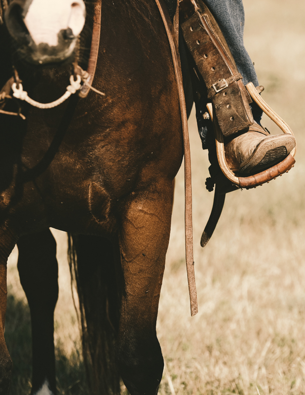 Western Riding